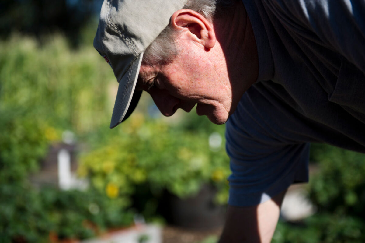 Locals show off skills at Mapleton Parade of Gardens News, Sports